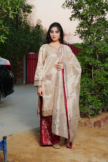Golden and red embroidered outfit — view 1